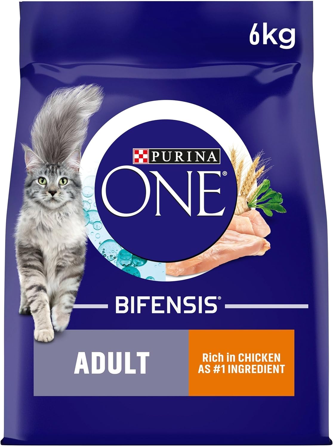 Purina ONE Adult Cat Food Chicken & Wholegrains | 6 kg, Blue
