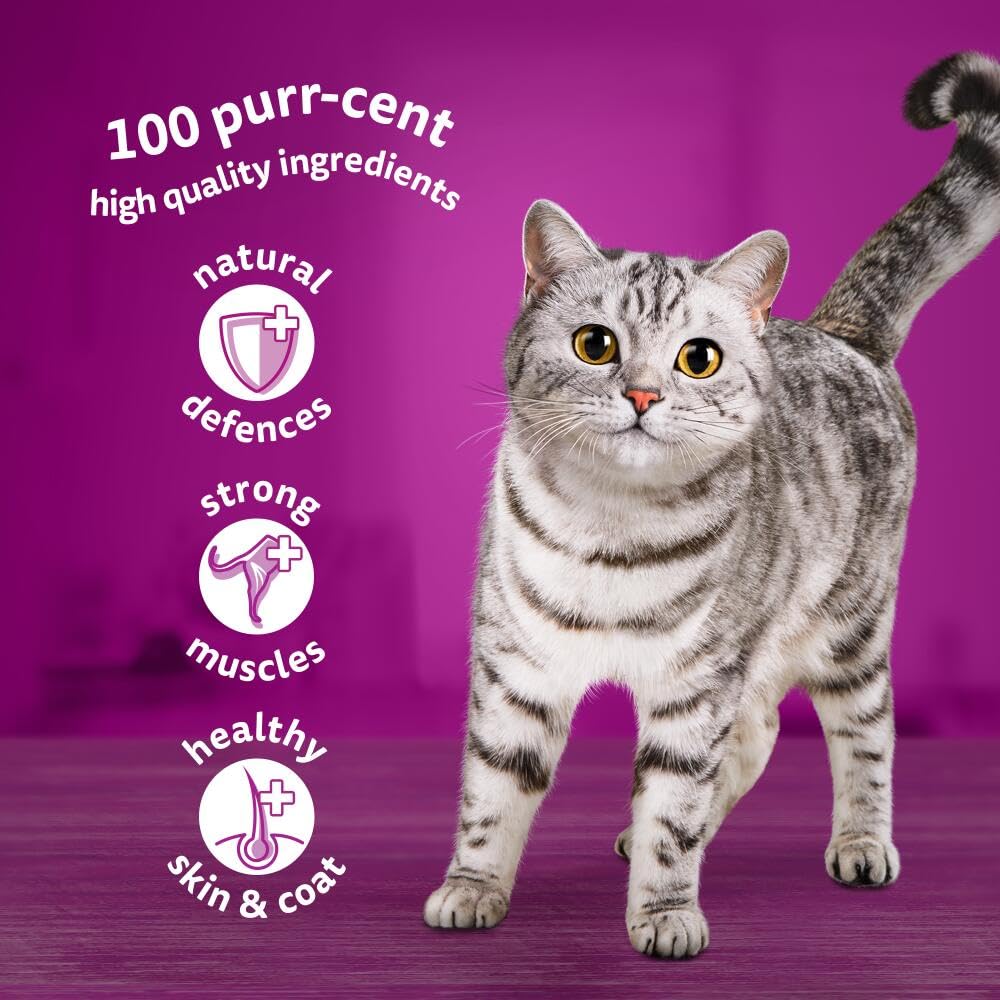 WHISKAS - 1+ Adult Wet Cat Food Pouches Poultry Selection | 40 x 85 g