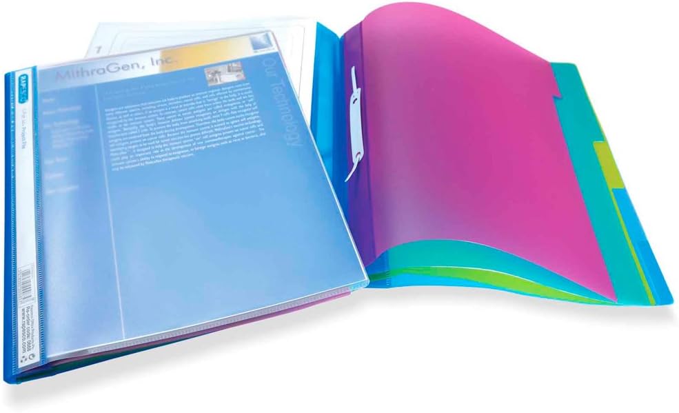 Rapesco 0668 Multi-Part Project File, A4, Transparent with Coloured Dividers, Pack of 5
