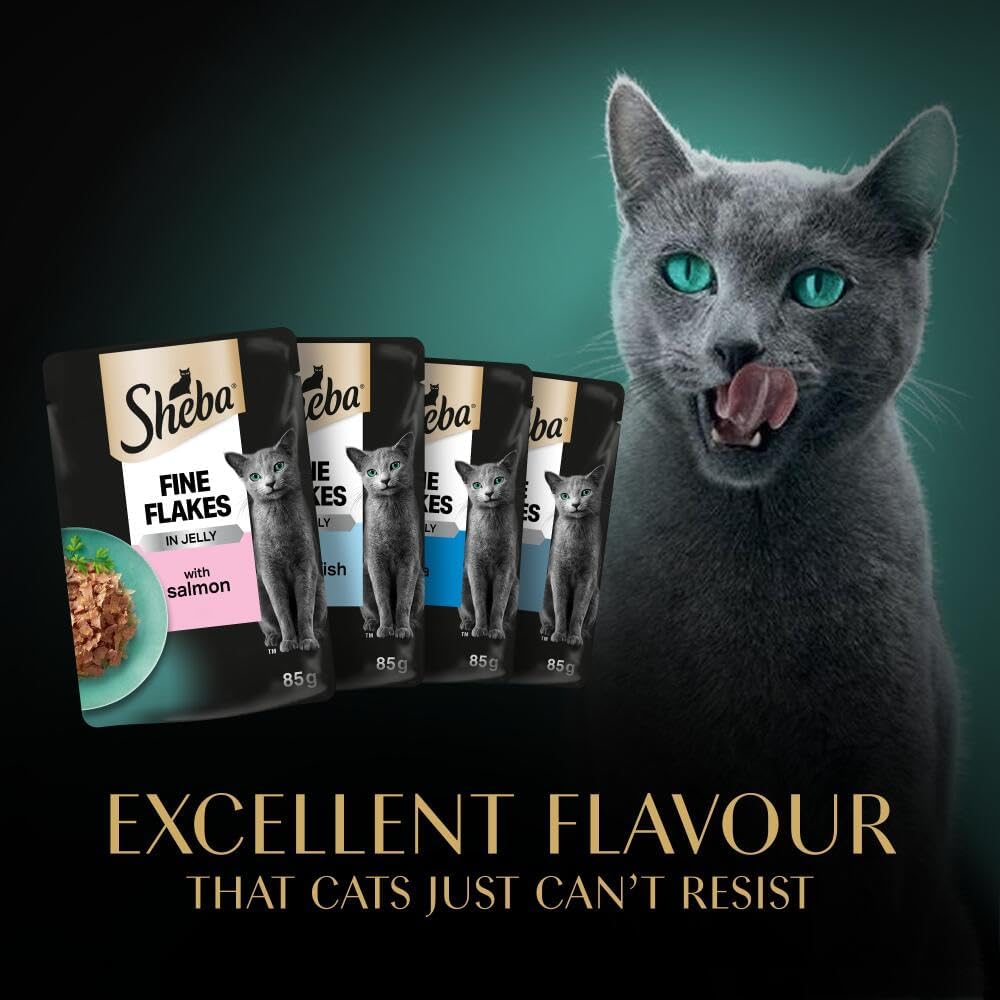 SHEBA - Adult Wet Cat Food Pouches - 40 x 85 g - Fish - Bulk Cat Food Megapack - 40 Jelly Pouches