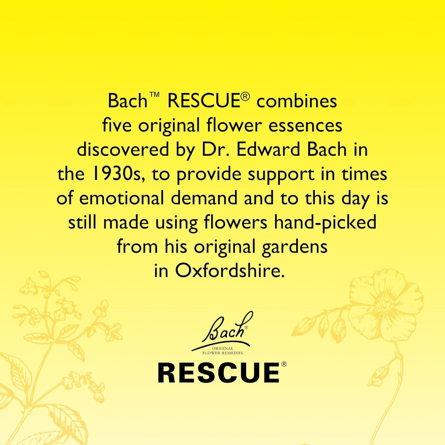 Rescue Remedy Pastilles (Blackcurrant), Soothing Emotional Wellness Pastilles, Travel Size On The Go Calming Pastilles, Alcohol-Free, Sugar Free, Natural Flower Essences