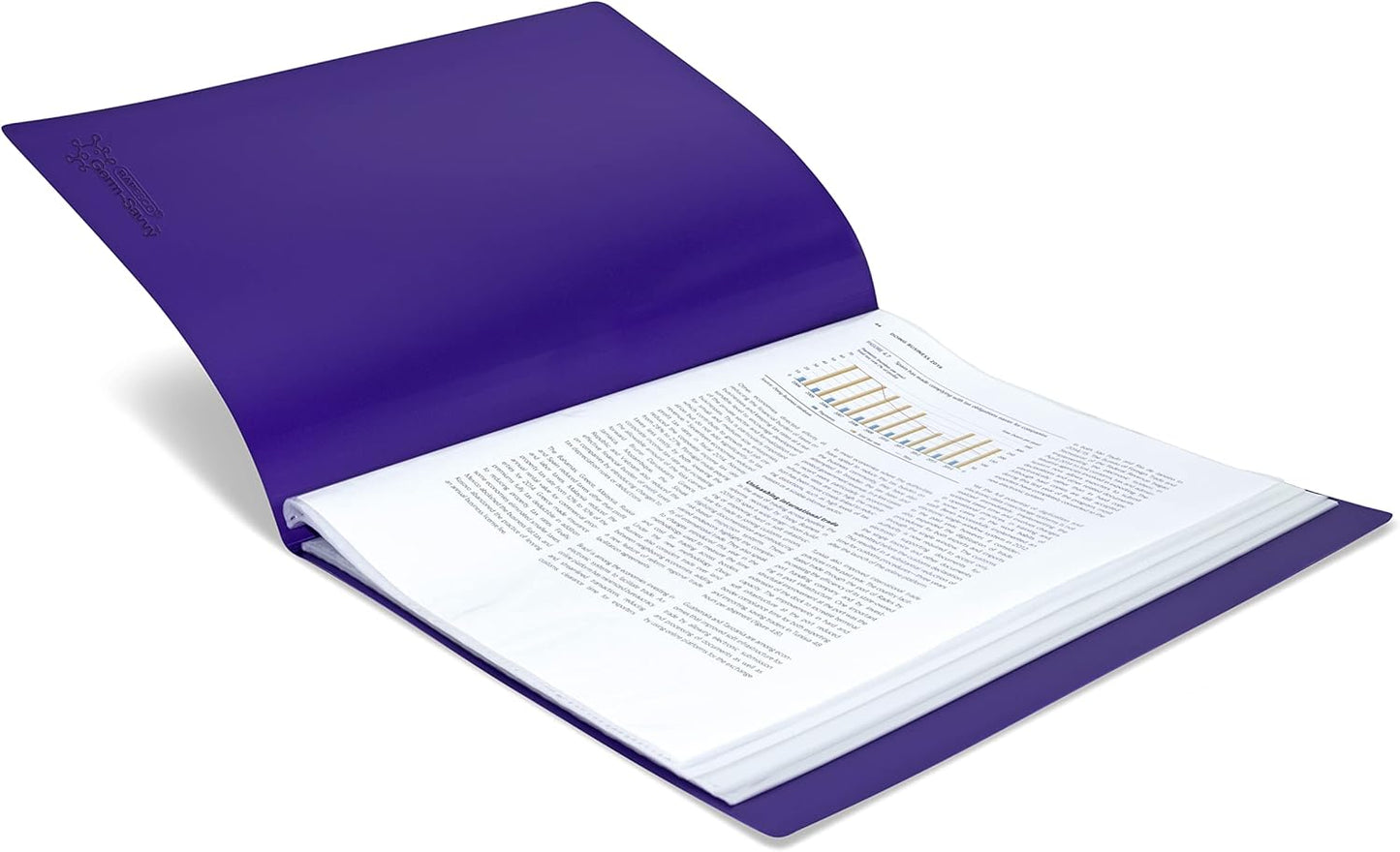 Rapesco 1647 Presentation Folder with Antibacterial Protection, 40 Pockets, A4, Assorted Colours, Pack of 6