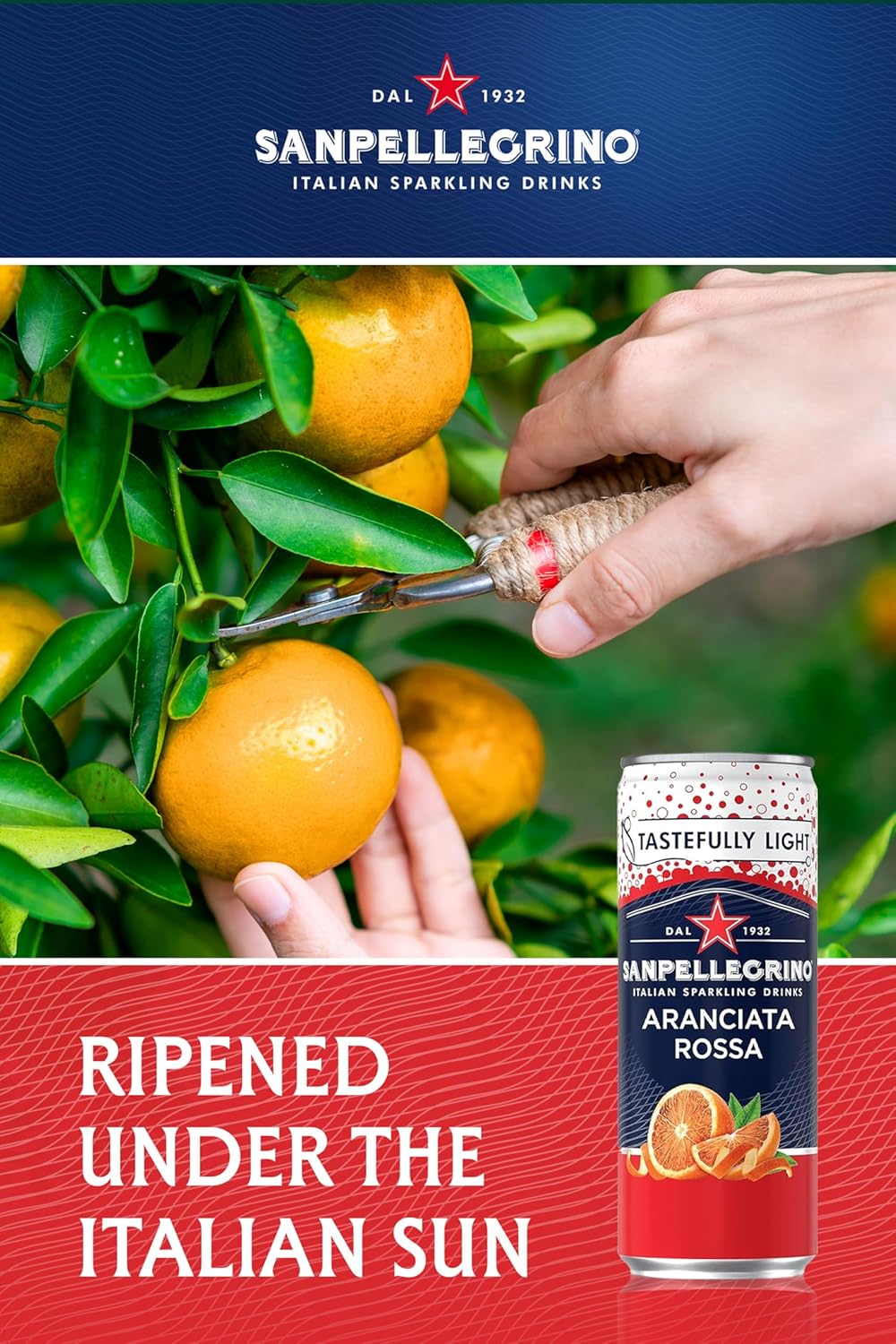 San Pellegrino Italian Sparkling Drinks Tastefully Light Sparkling Blood Orange Canned Soft Drink 12 x 330ml | 69 kCals per Can