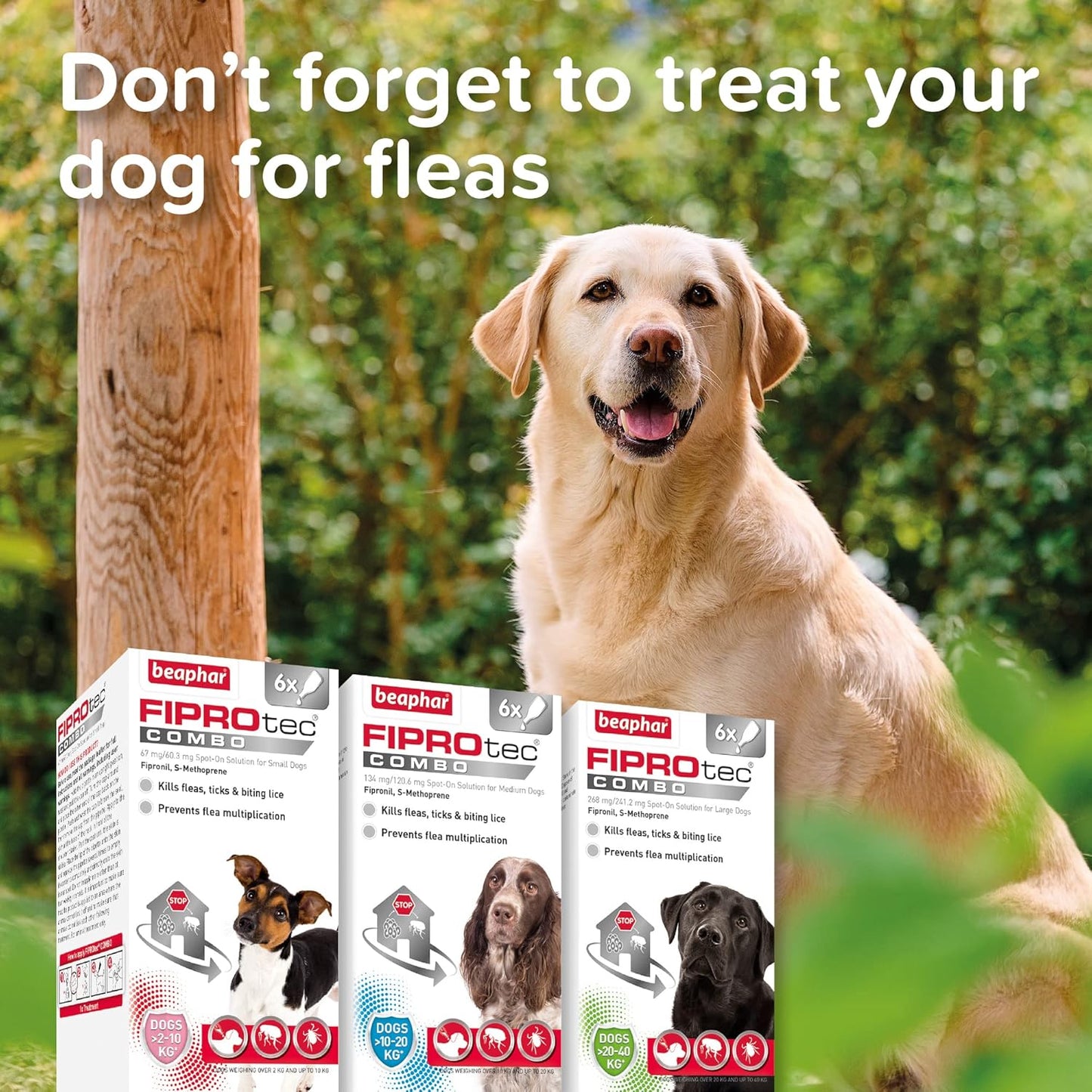 Beaphar | WORMclear® Tablets for Dogs up to 40kg | Kills All Common UK Intestinal Worms (Roundworms & Tapeworms) | Vet Strength Treatment | Pork-flavoured | 4 tablets
