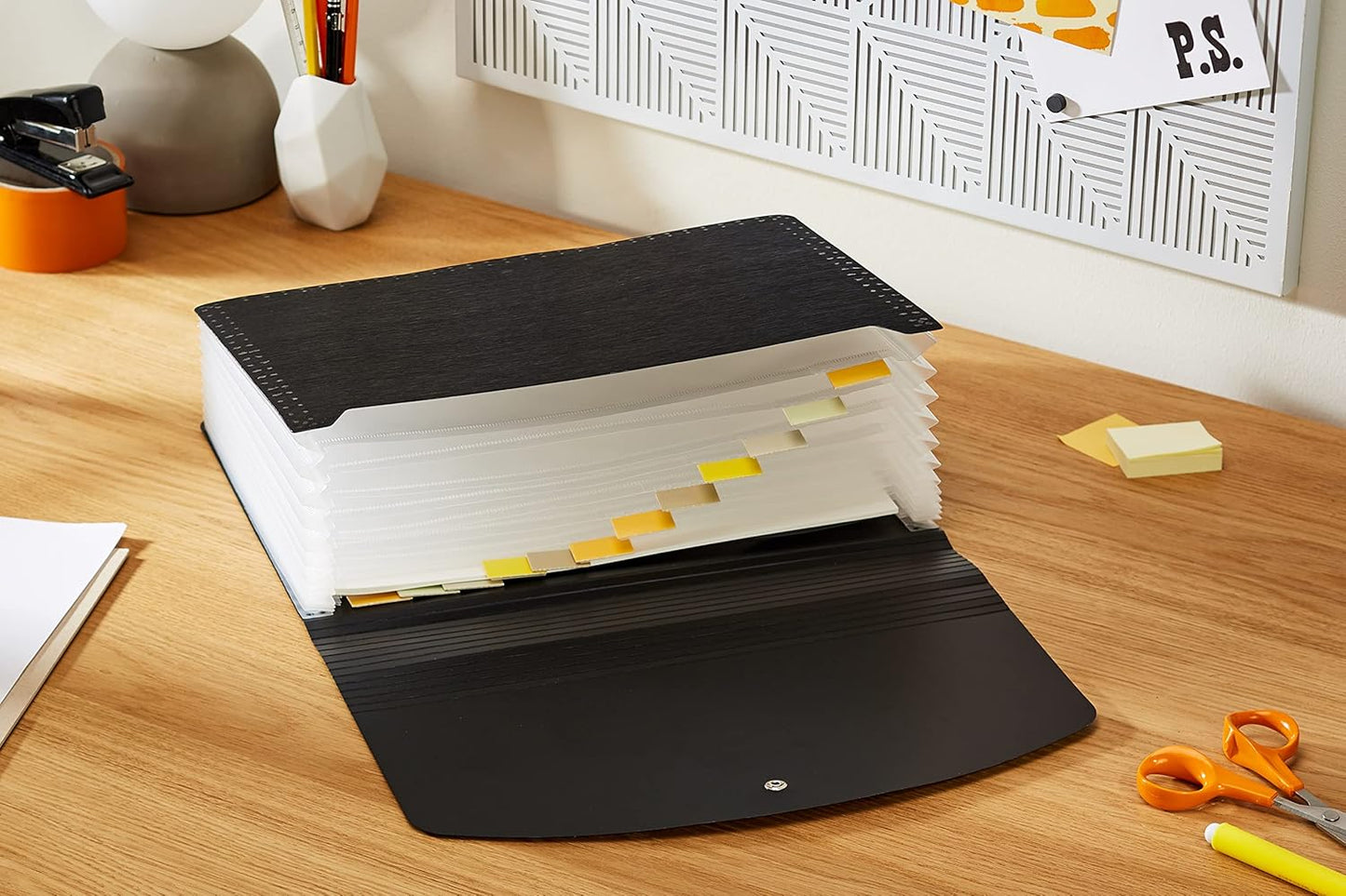 Rapesco 1638 Germ-Savvy Antibacterial, 13-Part A4 Expanding File, Black