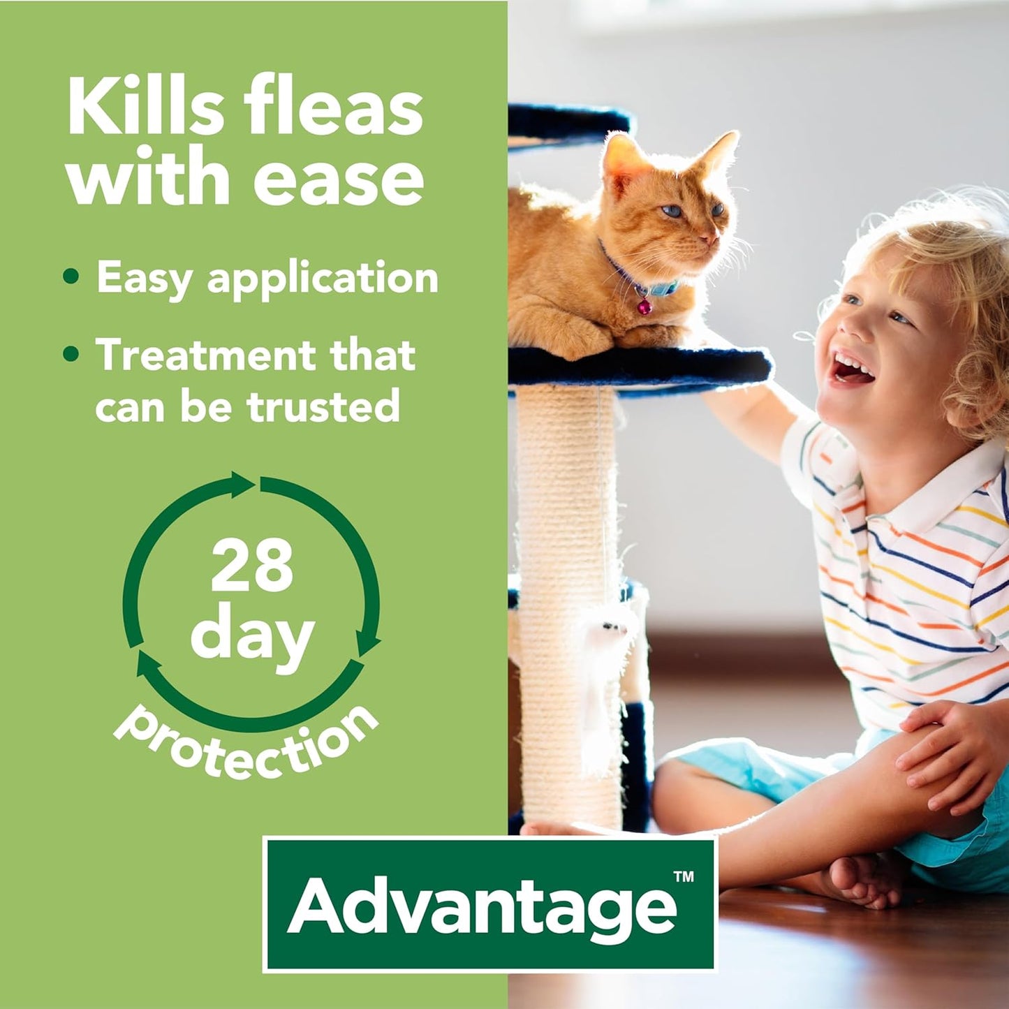 Advantage Flea Treatment 80 for Large Cats and Rabbits 4x Pipette, For Pets Weighing More than 4kg, Spot-on Treatment to Kill and Prevent Fleas on Large Cats and Treat Fleas on Pet Rabbits