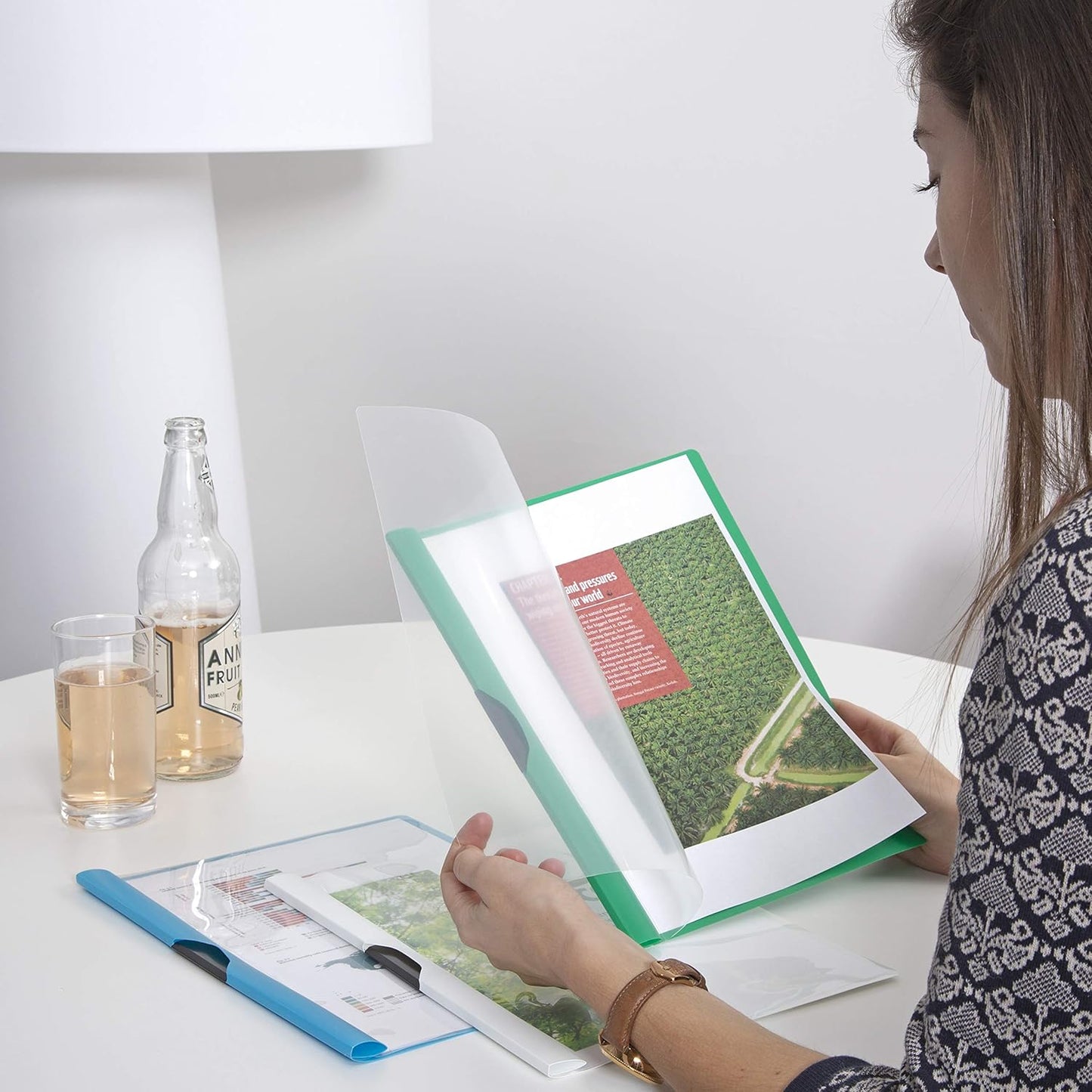 Rapesco 1100 ECO Clip Report Folder, A4, Assorted Colours, Pack of 10