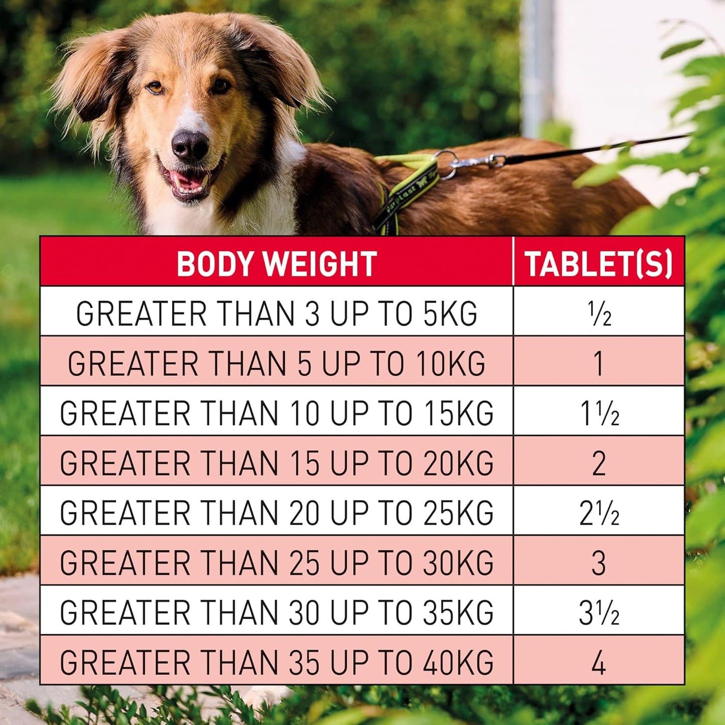 Beaphar | WORMclear® Tablets for Dogs up to 40kg | Kills All Common UK Intestinal Worms (Roundworms & Tapeworms) | Vet Strength Treatment | Pork-flavoured | 4 tablets
