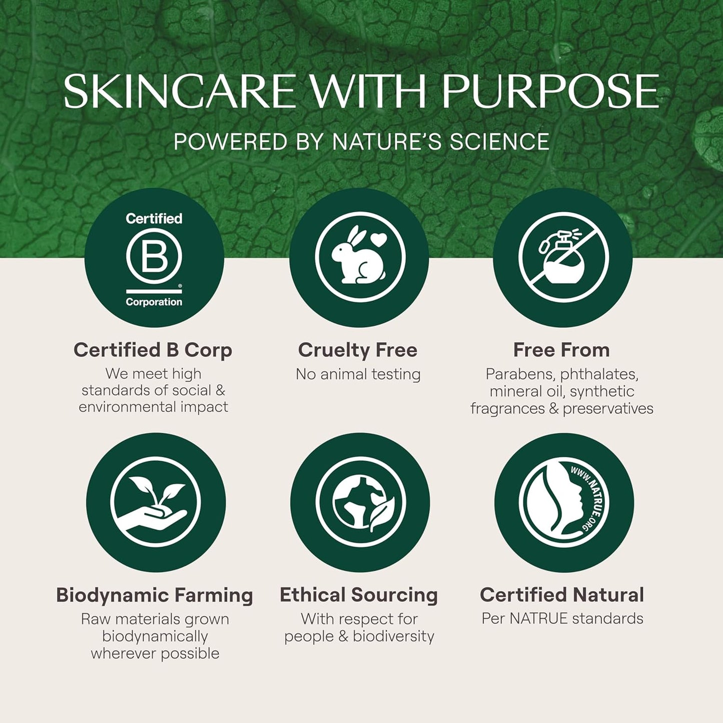 Weleda Skin Food Light, Dry Skin Moisturiser, Moisturising Cream & Primer, Face & Body, For Men & Women, Multiple Uses, 100% Certified Natural, Organic, 75ml