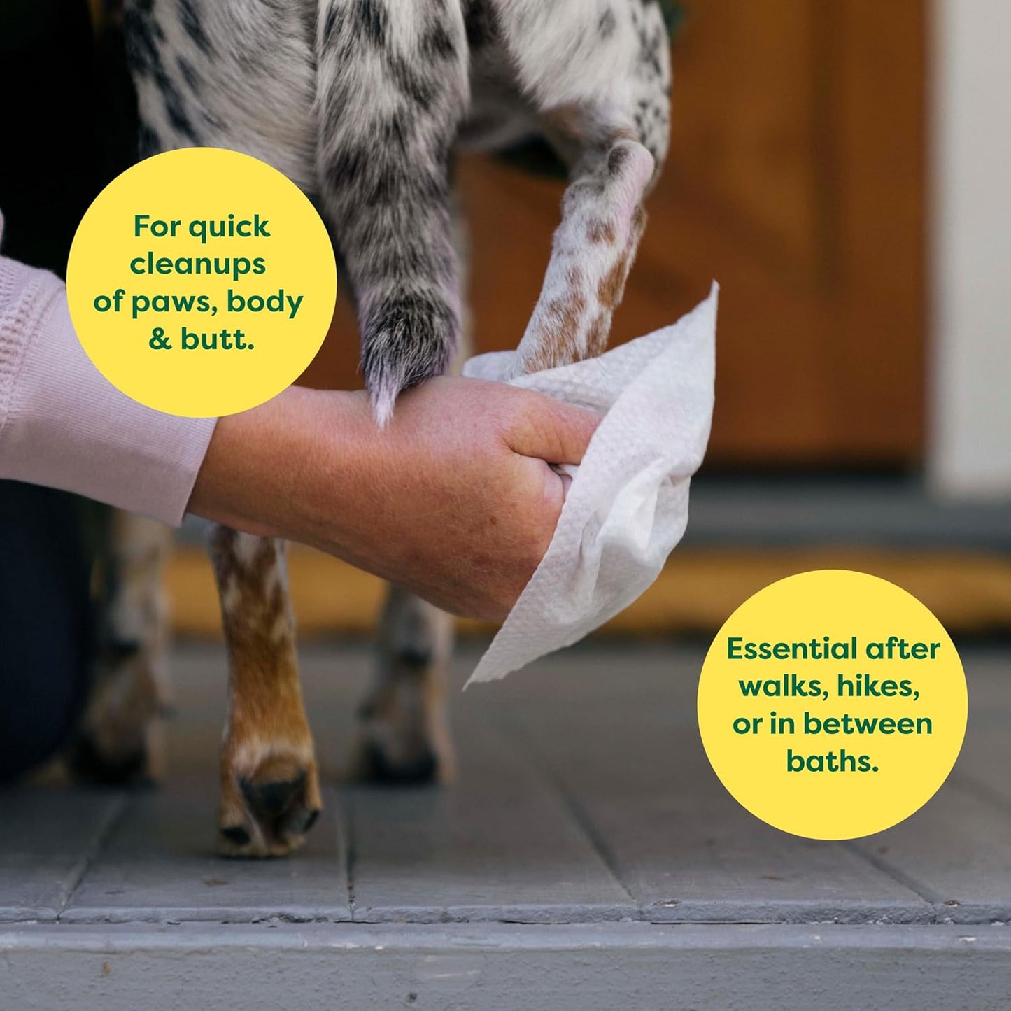 Earth Rated Hypoallergenic Dog Wipes, Cleaning and Odour-Controlling Grooming for Paws, Body, and Butt, Perfect for Puppy and Adult Dogs, Lavender Scent, 100 Count