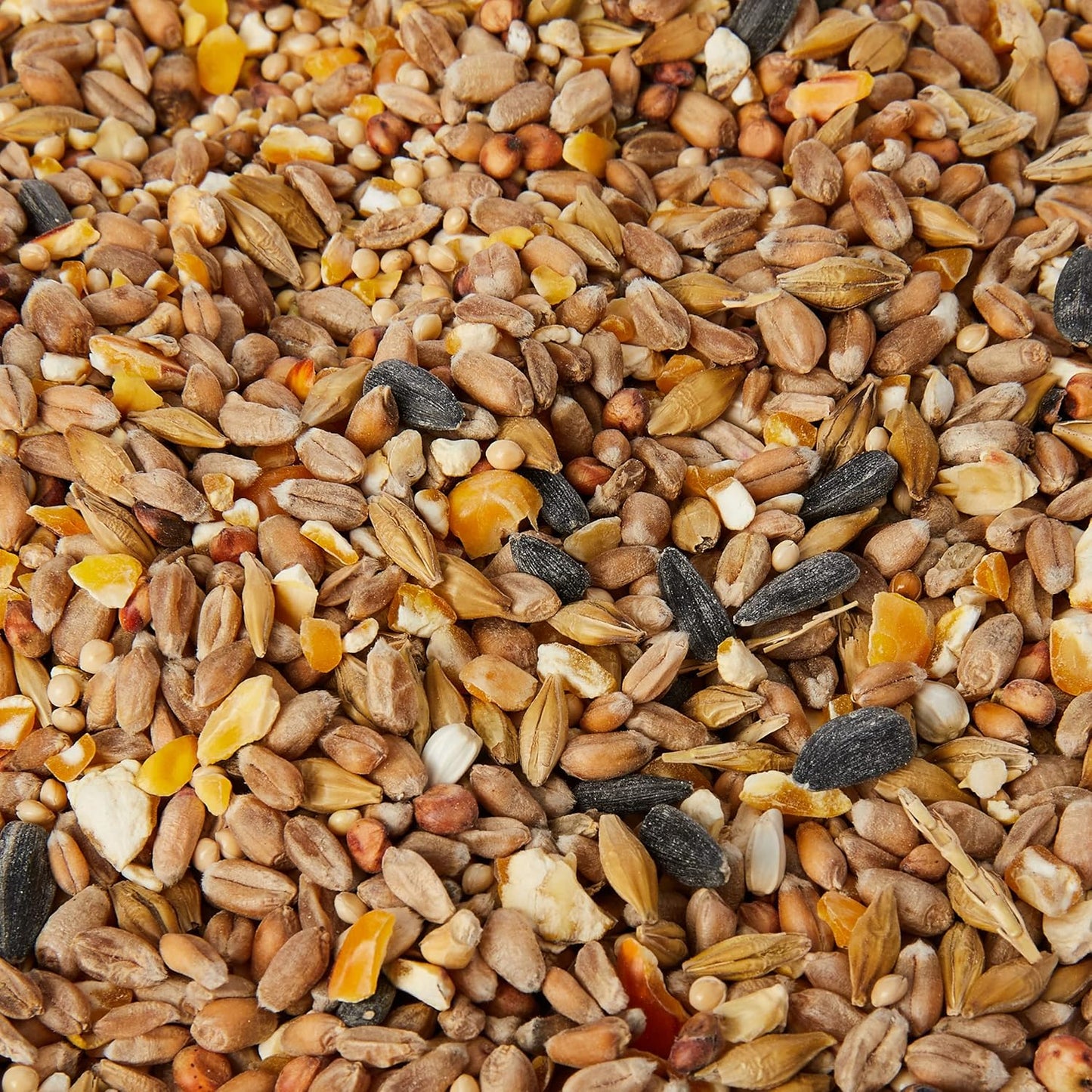 Extra Select Seed Mix Wild Bird Food, 5 Litre (Package may vary)