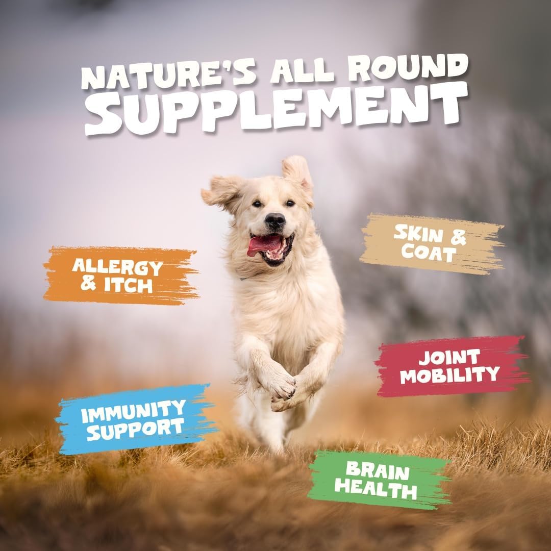 Pets Purest Scottish Salmon Oil For Dogs, Cats, Horse, Ferret - Pure Omega 3, 6 & 9 Fish Oil Food Treats Supplement for Natural Coat, Immune Support, Itchy Skin, Joint & Brain Health (500ml)