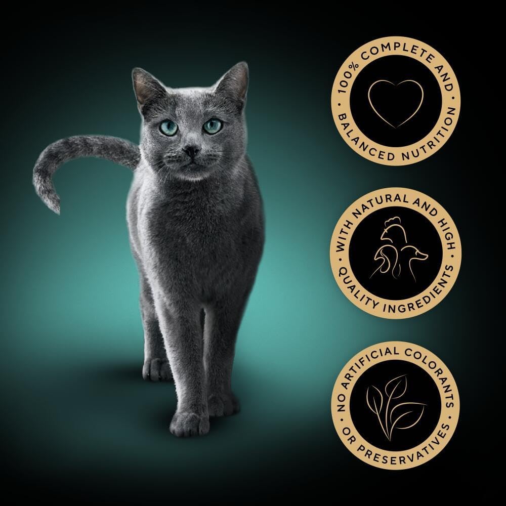 SHEBA - Adult Wet Cat Food Pouches- 40 x 85 g - Poultry - Bulk Cat Food Megapack - 40 Jelly Pouches
