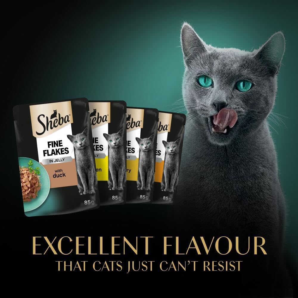 SHEBA - Adult Wet Cat Food Pouches- 40 x 85 g - Poultry - Bulk Cat Food Megapack - 40 Jelly Pouches
