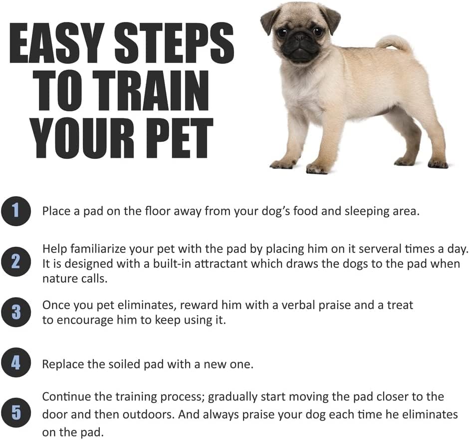 Bargain Factory - Pet Potty Training Pads for Dogs Puppy Pads - Super-Absorbent 5 Layers Waterproof - 56 x 56 cm - Disposable Puppy Pee Pads (Pack of 50)