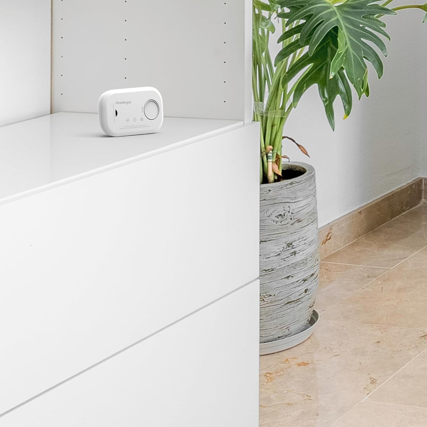 FireAngel Carbon Monoxide Alarm and Detector - FA6813 10-Year Sensor Life CO Alarm for Home with AA Batteries - Travel, Portable Carbon Monoxide Detector - CO Detector Monitor with Test Button