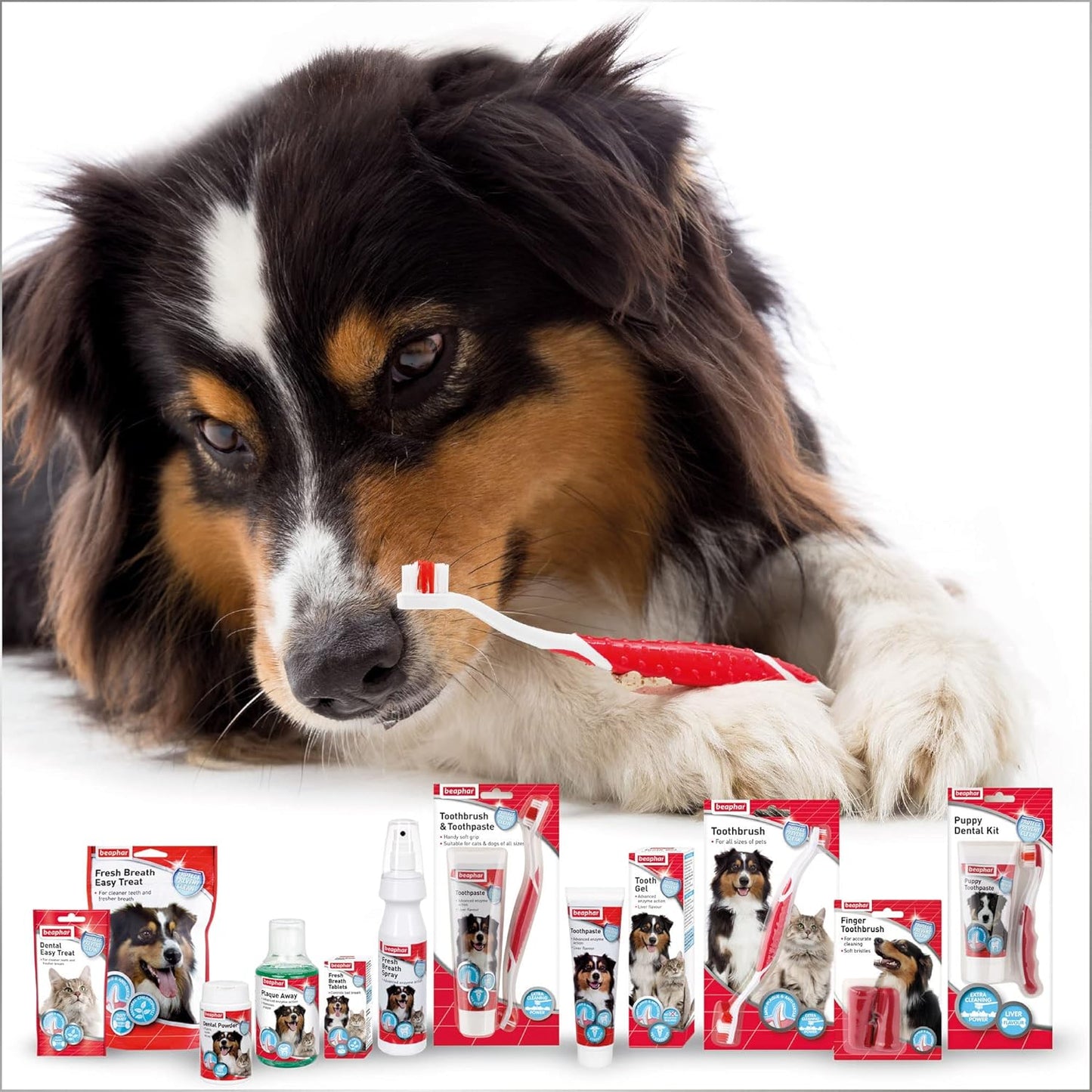 Beaphar - Advanced Dual-Enzyme Toothpaste - Dental Care for Dogs and Cats - Helps Prevent Bad Breath and Combat Plaque - Liver-Flavoured -100g Tube