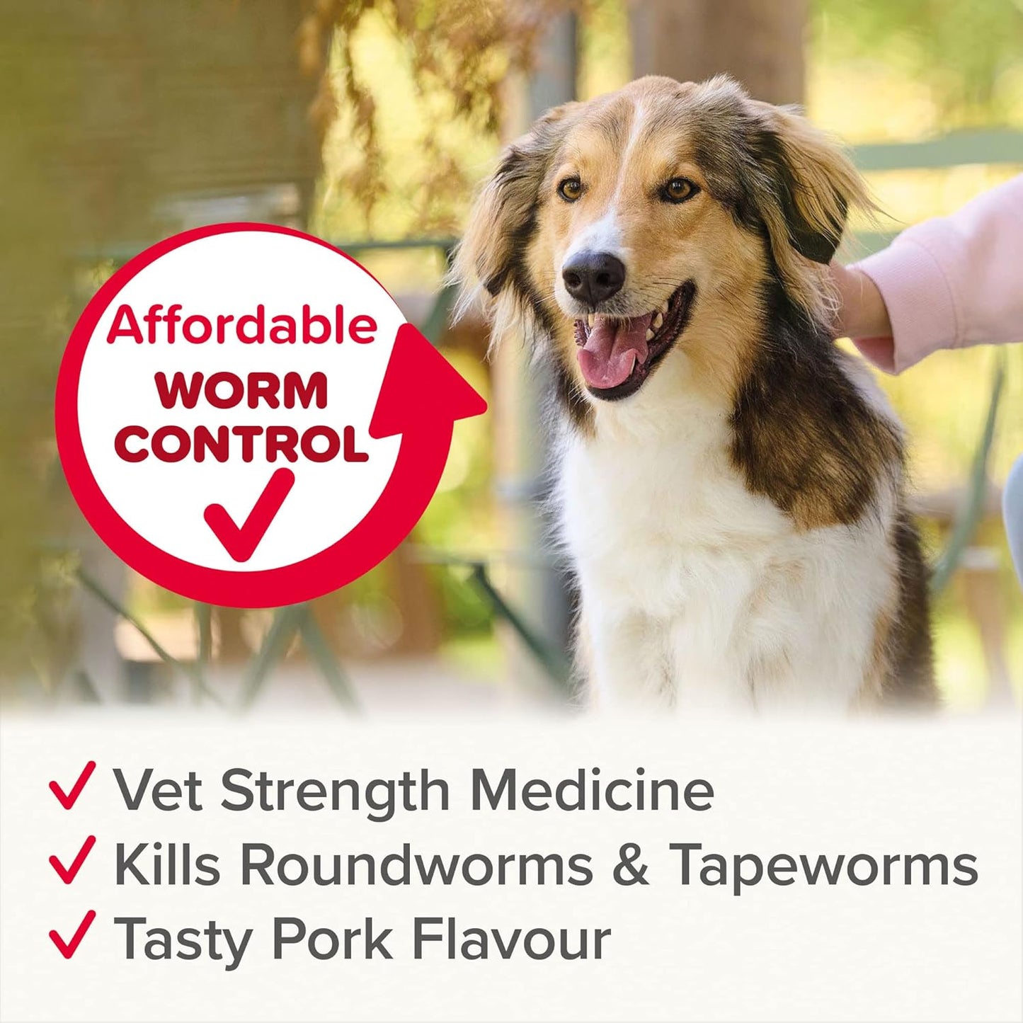 Beaphar | WORMclear® Tablets for Dogs up to 40kg | Kills All Common UK Intestinal Worms (Roundworms & Tapeworms) | Vet Strength Treatment | Pork-flavoured | 4 tablets