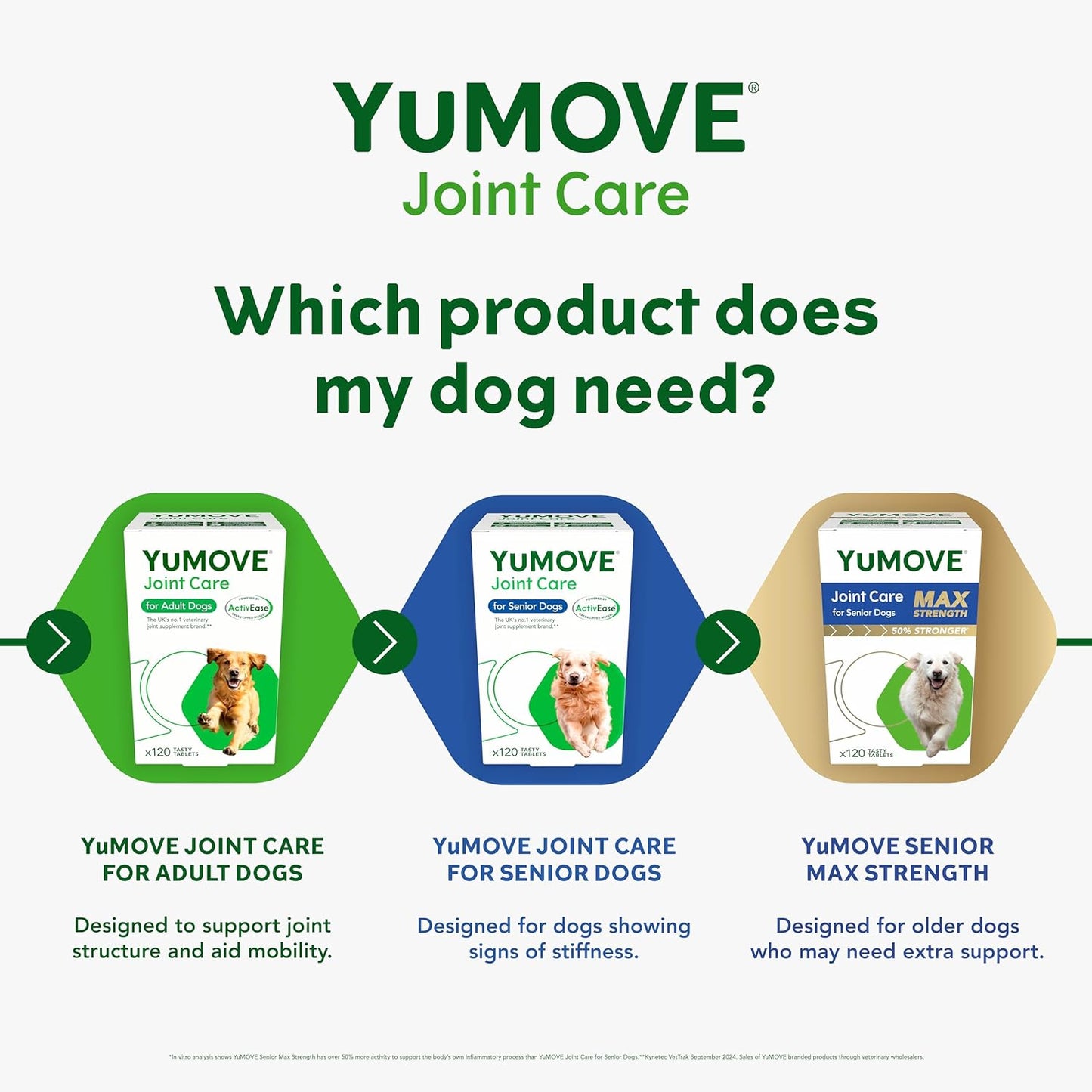 YuMOVE Joint Supplement for Dogs, Essential Dog Hip and Joint Aid for Stiff Adult Dogs with Glucosamine, Chondroitin, Green Lipped Mussel, Aged 6 to 8, 120 Tablets
