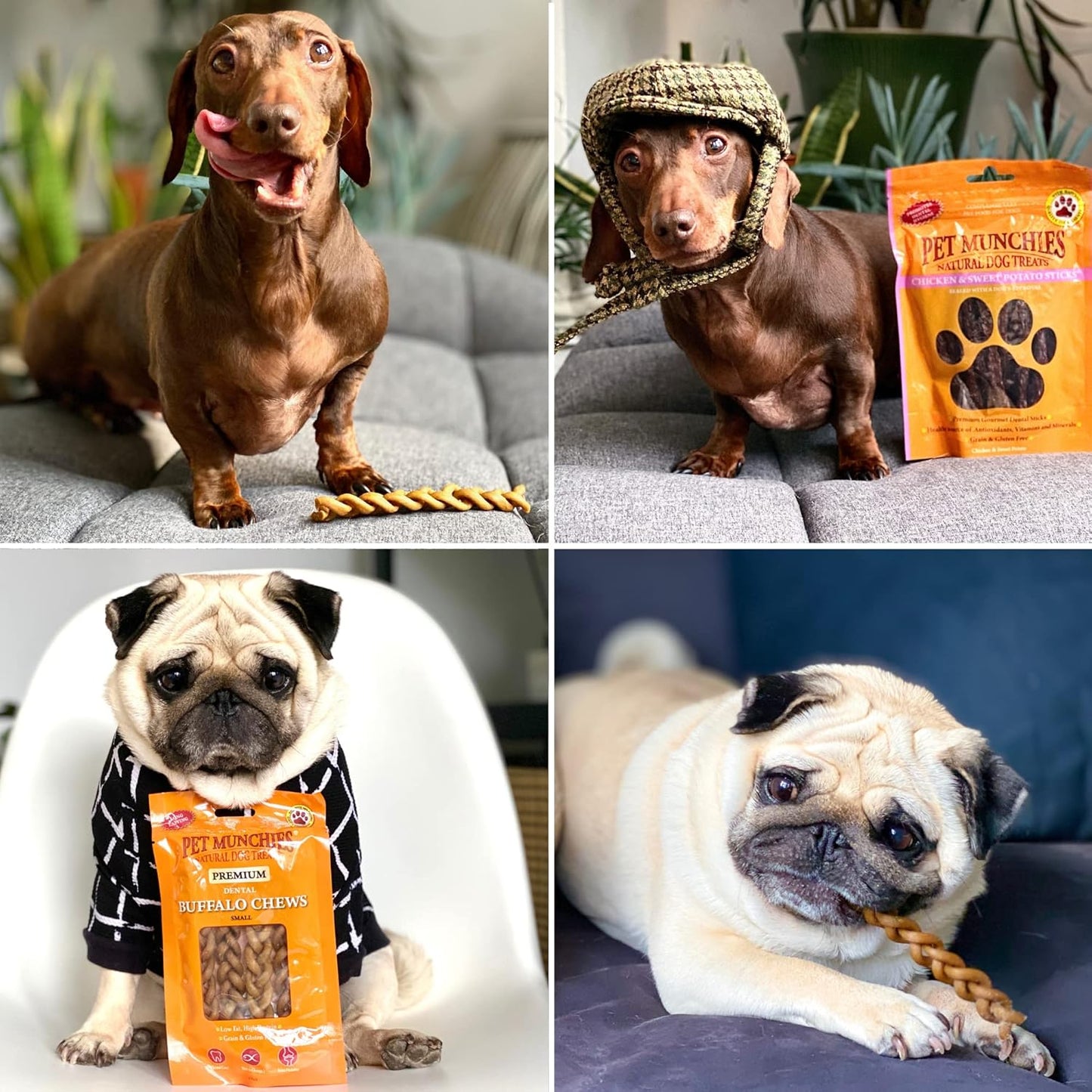 Pet Munchies Venison & Beef Liver Dog Training Treats, Grain Free Tasty Bites with Natural Real Meat, Low in Fat 50g