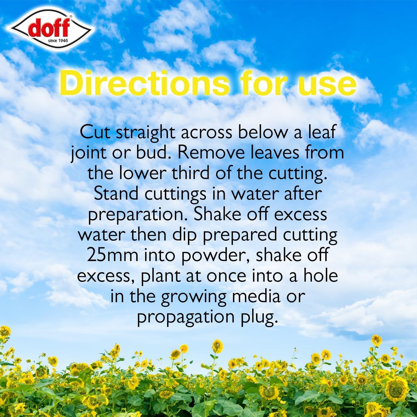 Doff 75G-Ke075 Natural Rooting Powder 75G, White, Packaging May Vary