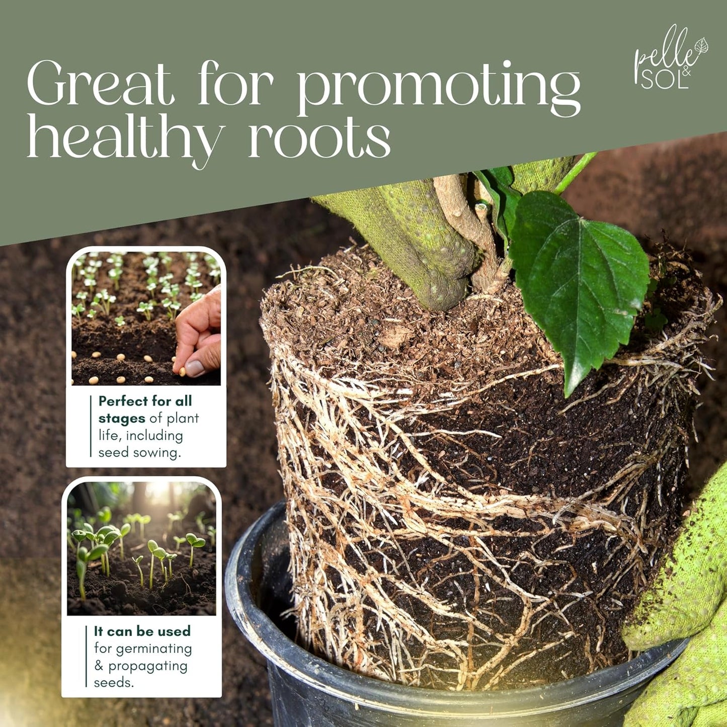 Pelle & Sol 60L Multi Purpose Compost - Compost for Outdoor Plants & Soil for Plants Indoors - Potting Soil for Pots Plants Outdoor - All Purpose Nutrient Rich Fertiliser, Houseplant Potting Mix
